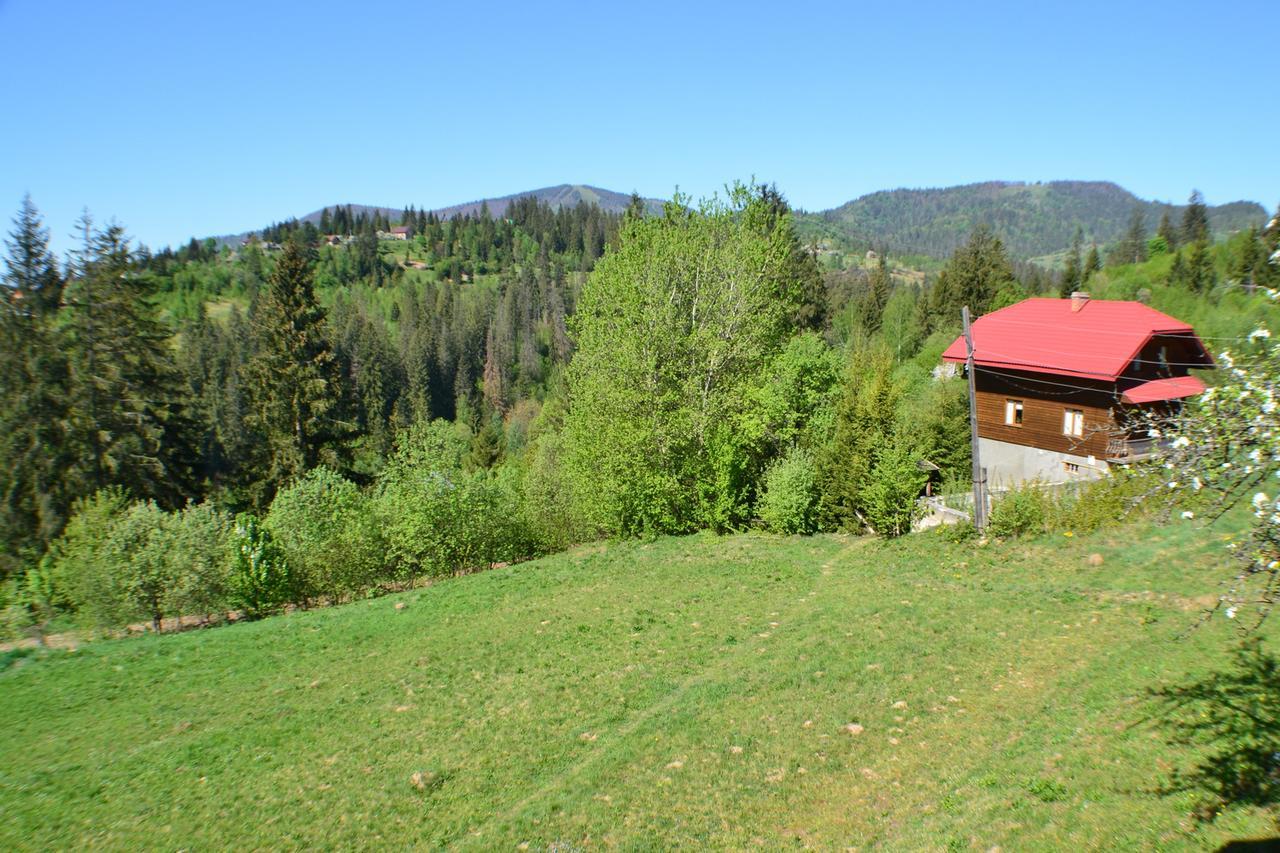 Lodge Karpatski Prostory *